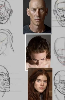 Luxe Velvet Wallpaper